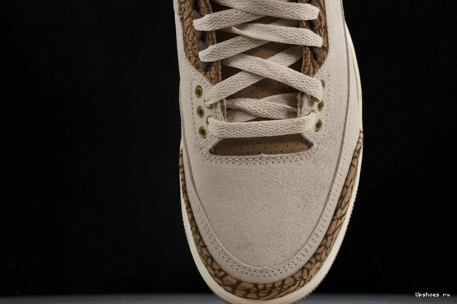 Jordan Palomino Retro   CT8532-102 3 0706